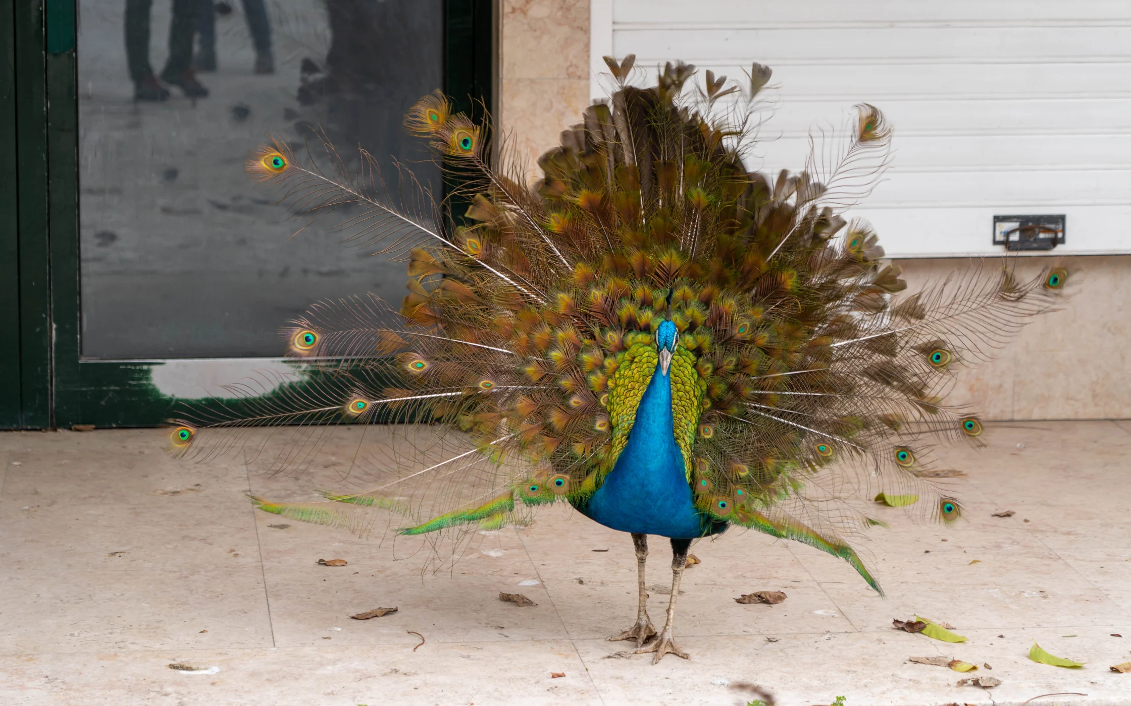 2022_AgrarreiseSBO_Elfriede Reinstadler 82.jpg